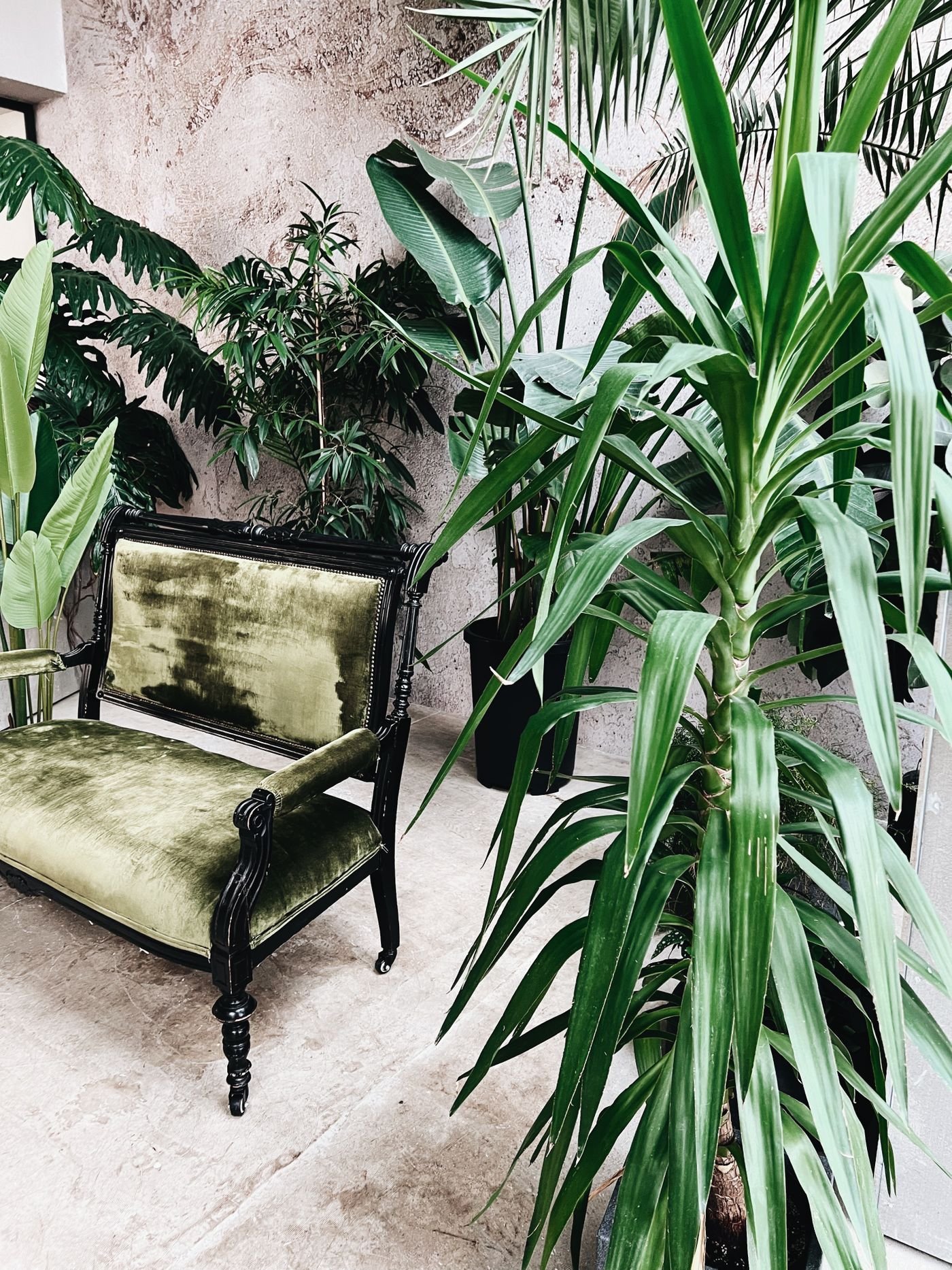 Representative photo of a green velvet settee with a carved dark frame, freshly upholstered