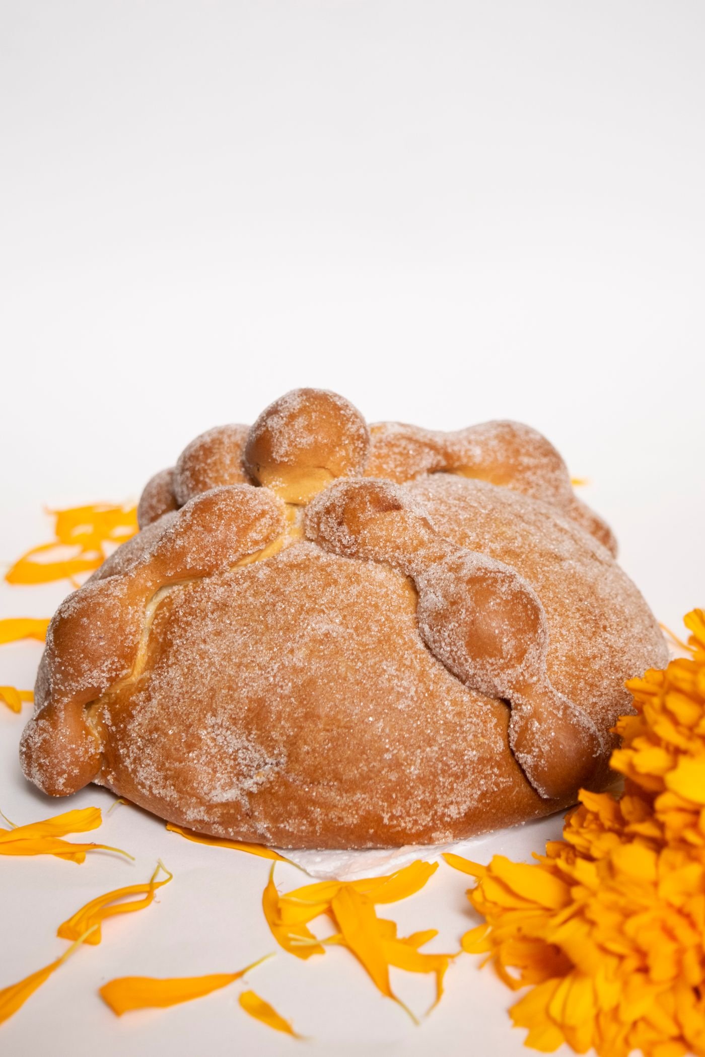 Pan de muerto, pan dulce de temporada (imagen representativa)