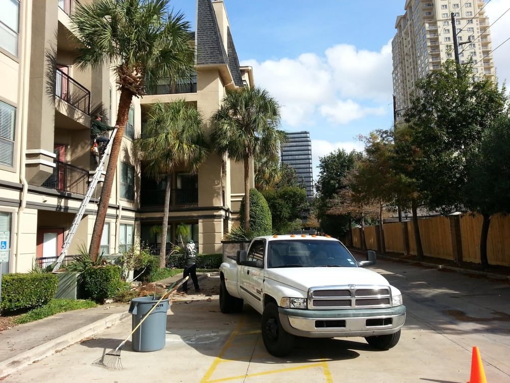 Texans Tree Service crew and pickup trimming palms beside a Houston apartment building