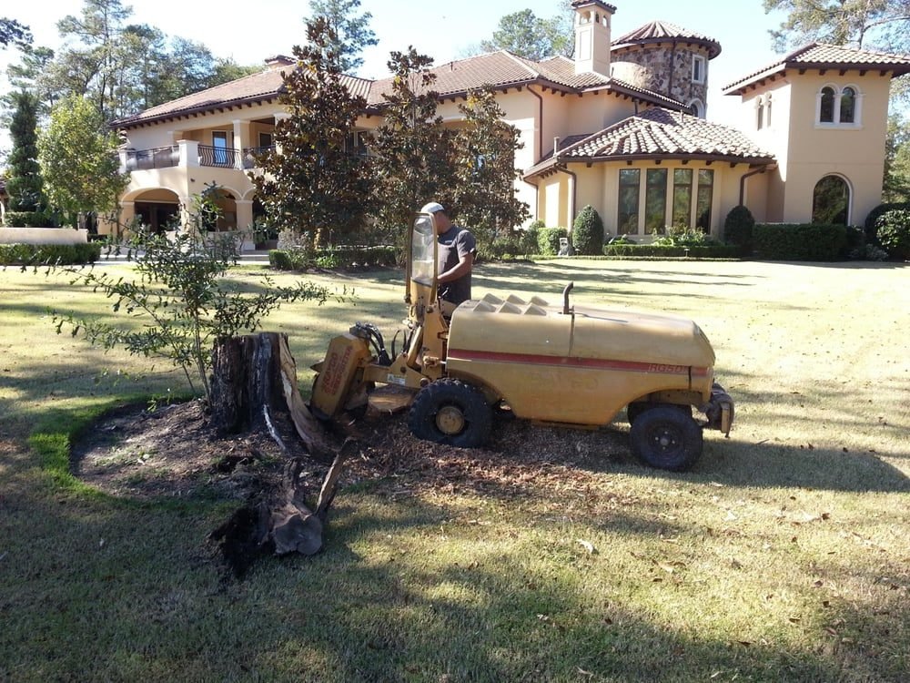 A Texans Tree Service stump grinder taking a stump down below grade on a Houston lawn