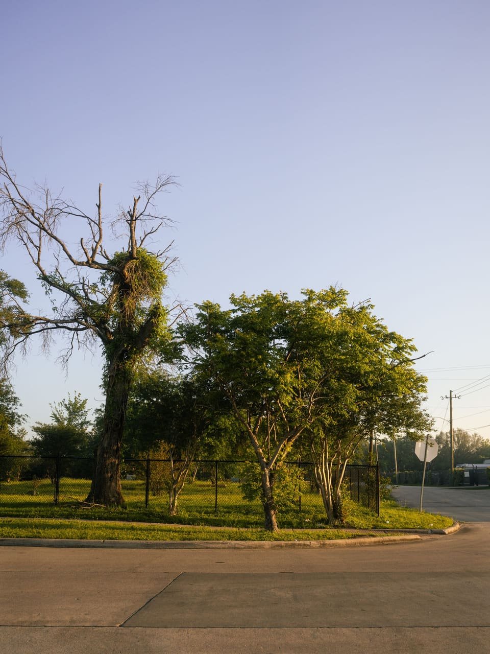 A residential street in the greater Houston area served by The Appliance Plug
